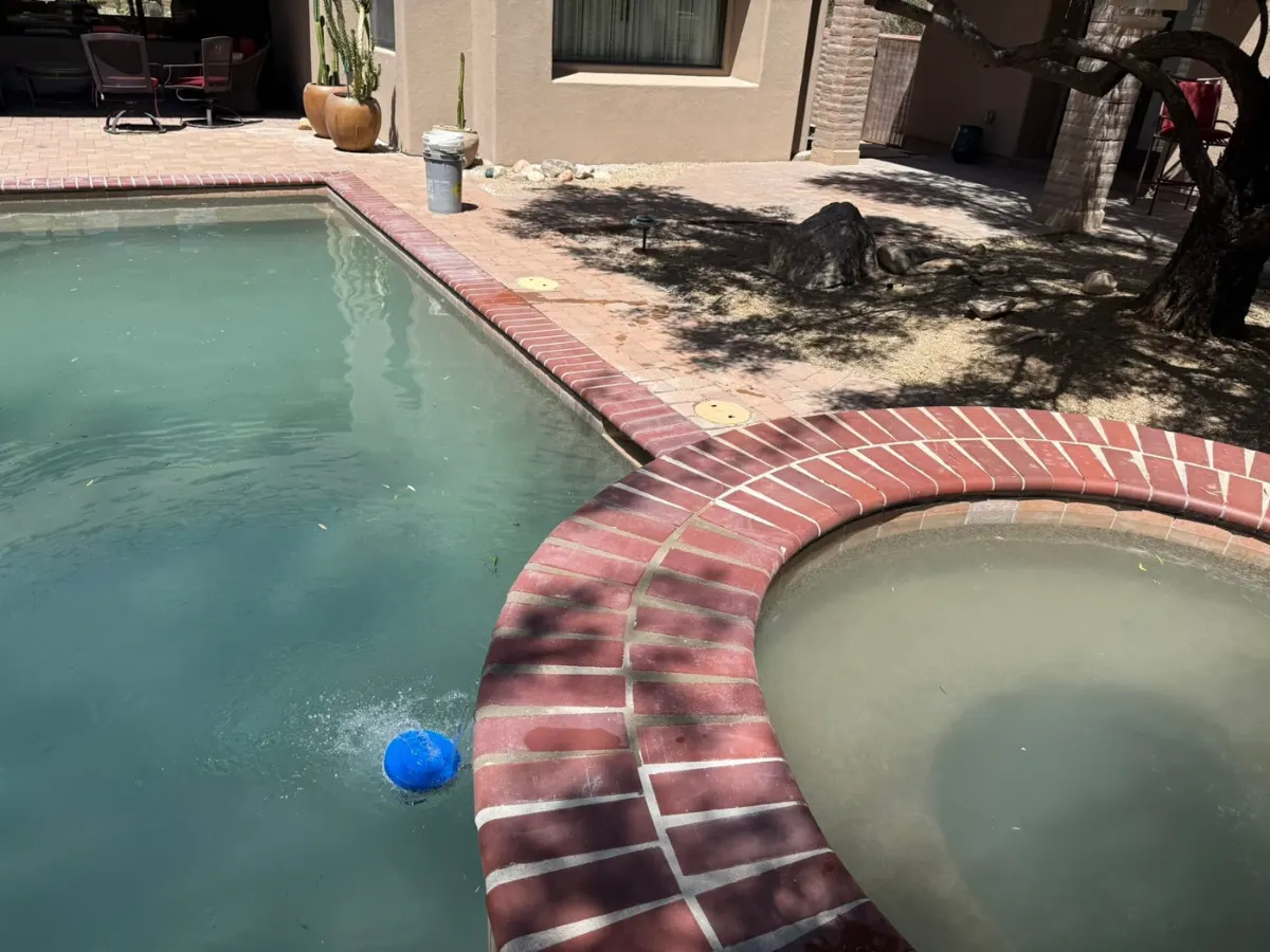 Inground pool and spa in a Tucson backyard on the weekly route
